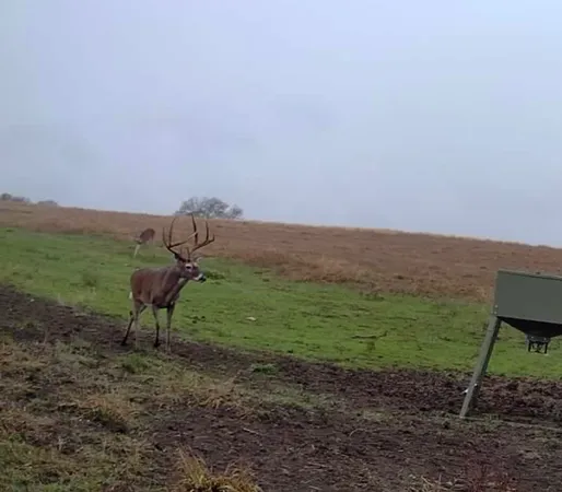 a view of a mountain in the distance