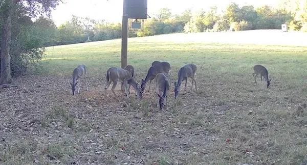 $3,200,000 | 3713 County Road 386, Marquez, TX 77865