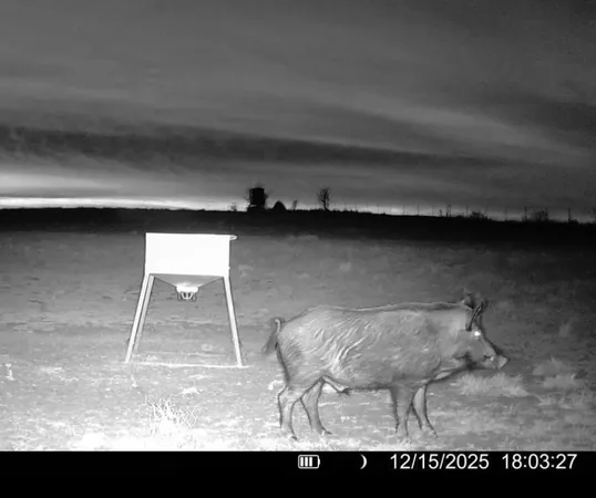 $3,200,000 | 3713 County Road 386, Marquez, TX 77865