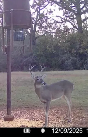 $3,200,000 | 3713 County Road 386, Marquez, TX 77865