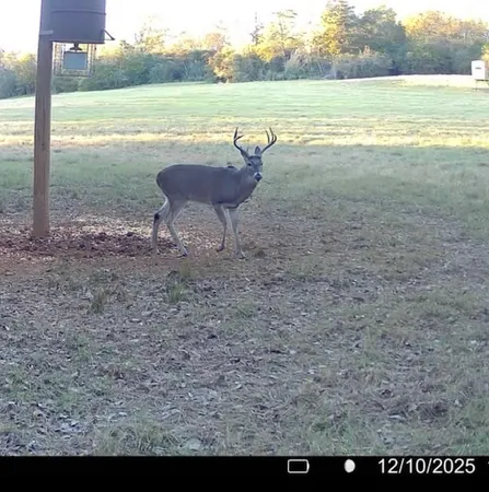 $3,200,000 | 3713 County Road 386, Marquez, TX 77865