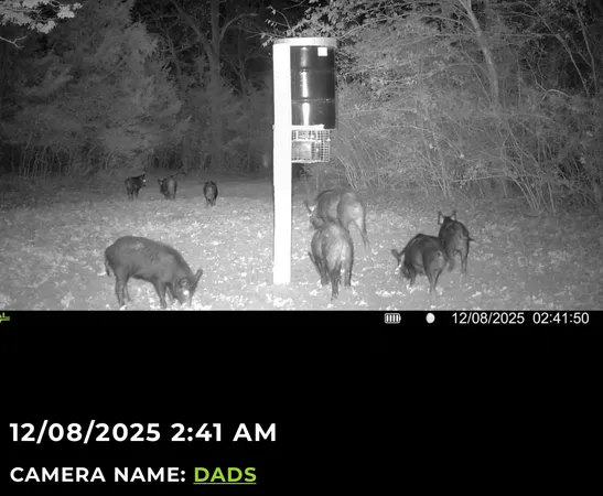 $3,200,000 | 3713 County Road 386, Marquez, TX 77865