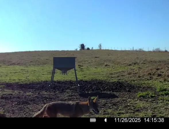 $3,200,000 | 3713 County Road 386, Marquez, TX 77865