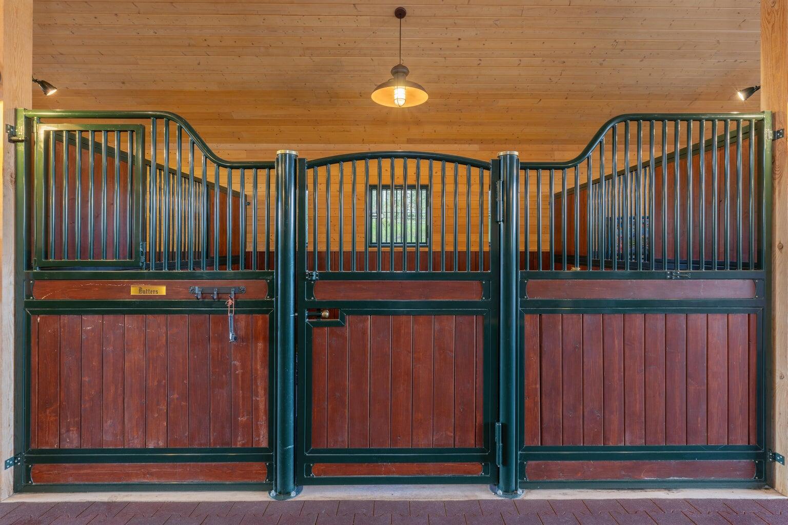 3036 Laughing Dog Road Placerville, CO 81430 - Photo 33 of 37 Stables