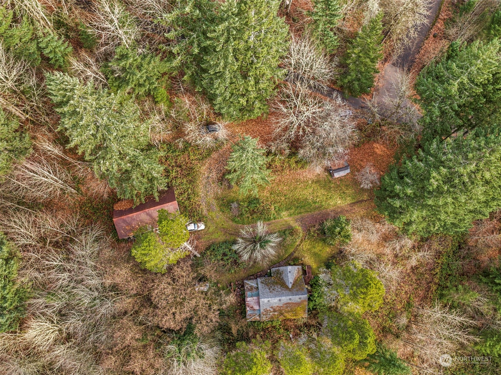 415 Finn Hall Road Woodland, WA 98674 - Photo 3 of 9 Gallery Image 3