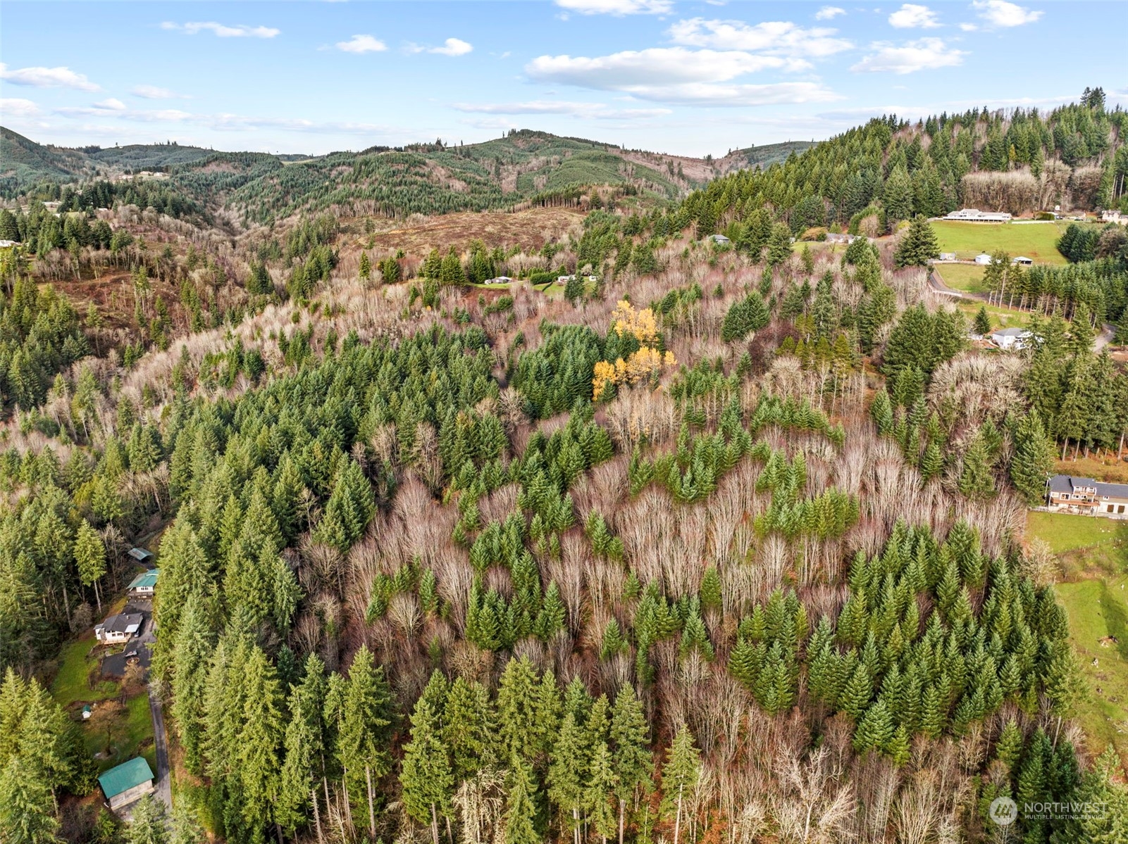 415 Finn Hall Road Woodland, WA 98674 - Photo 7 of 9 Gallery Image 7