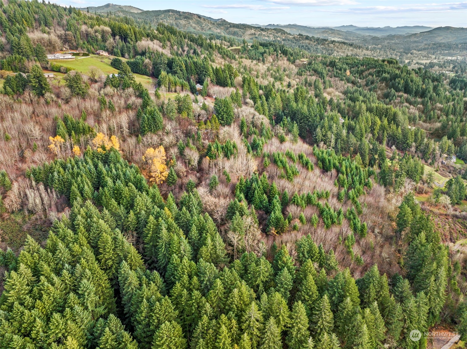 415 Finn Hall Road Woodland, WA 98674 - Photo 9 of 9 Gallery Image 9