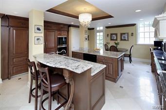 10 Apple Tree Lane Ladue, MO 63124 - Photo 11 of 17