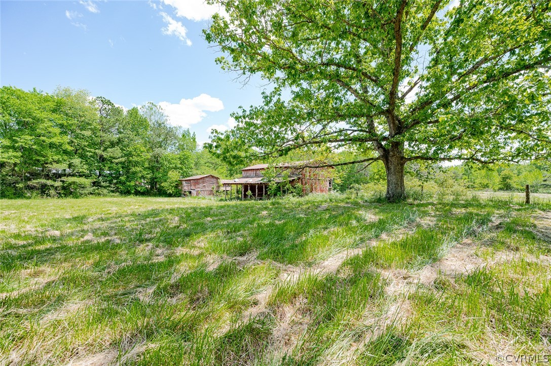 16205 Trainham Road Beaverdam, VA 23015 - Photo 5 of 32