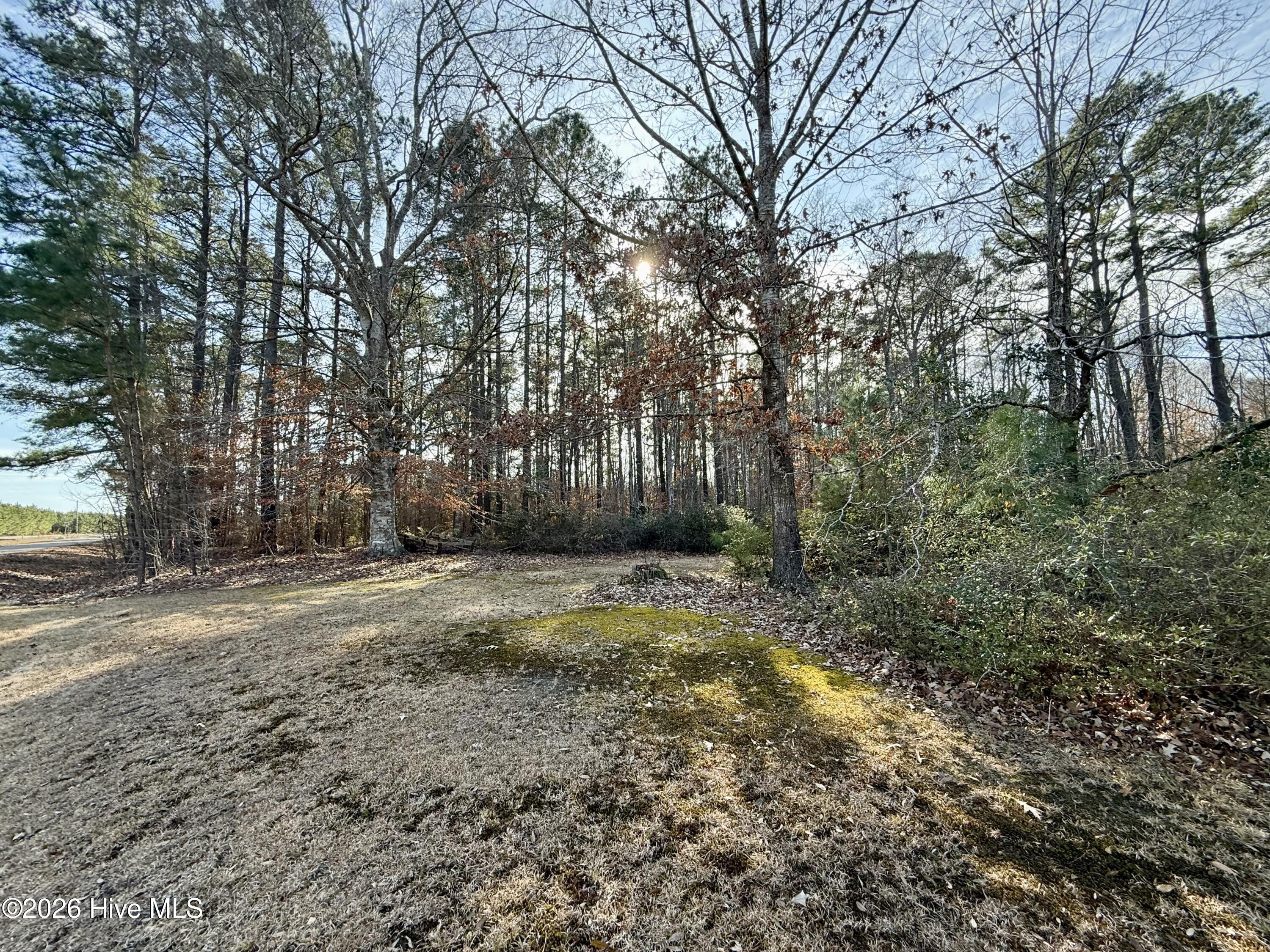 115 Layton Road Windsor, NC 27983 - Photo 26 of 29 IMG_6748