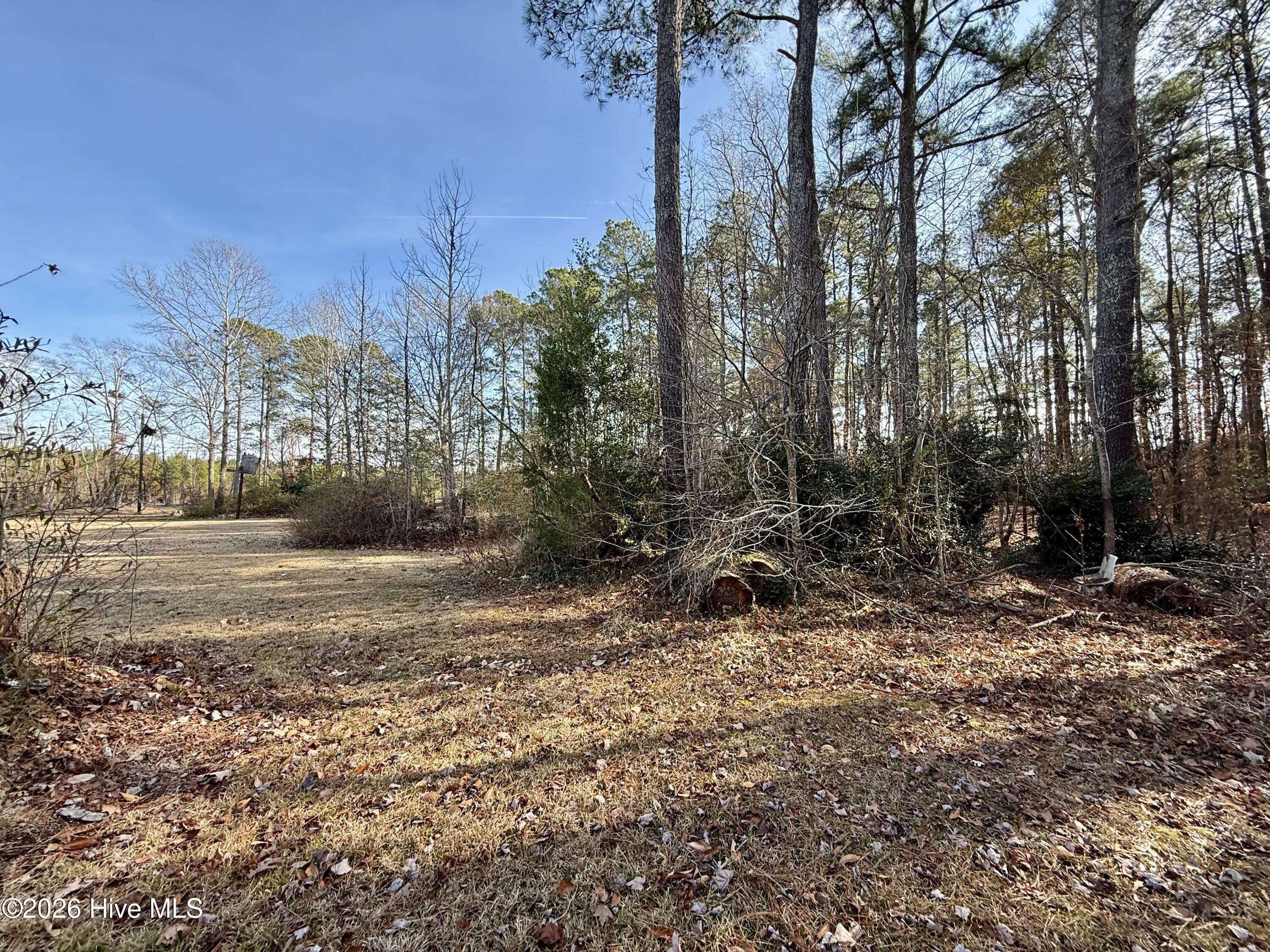 115 Layton Road Windsor, NC 27983 - Photo 28 of 29 IMG_6722