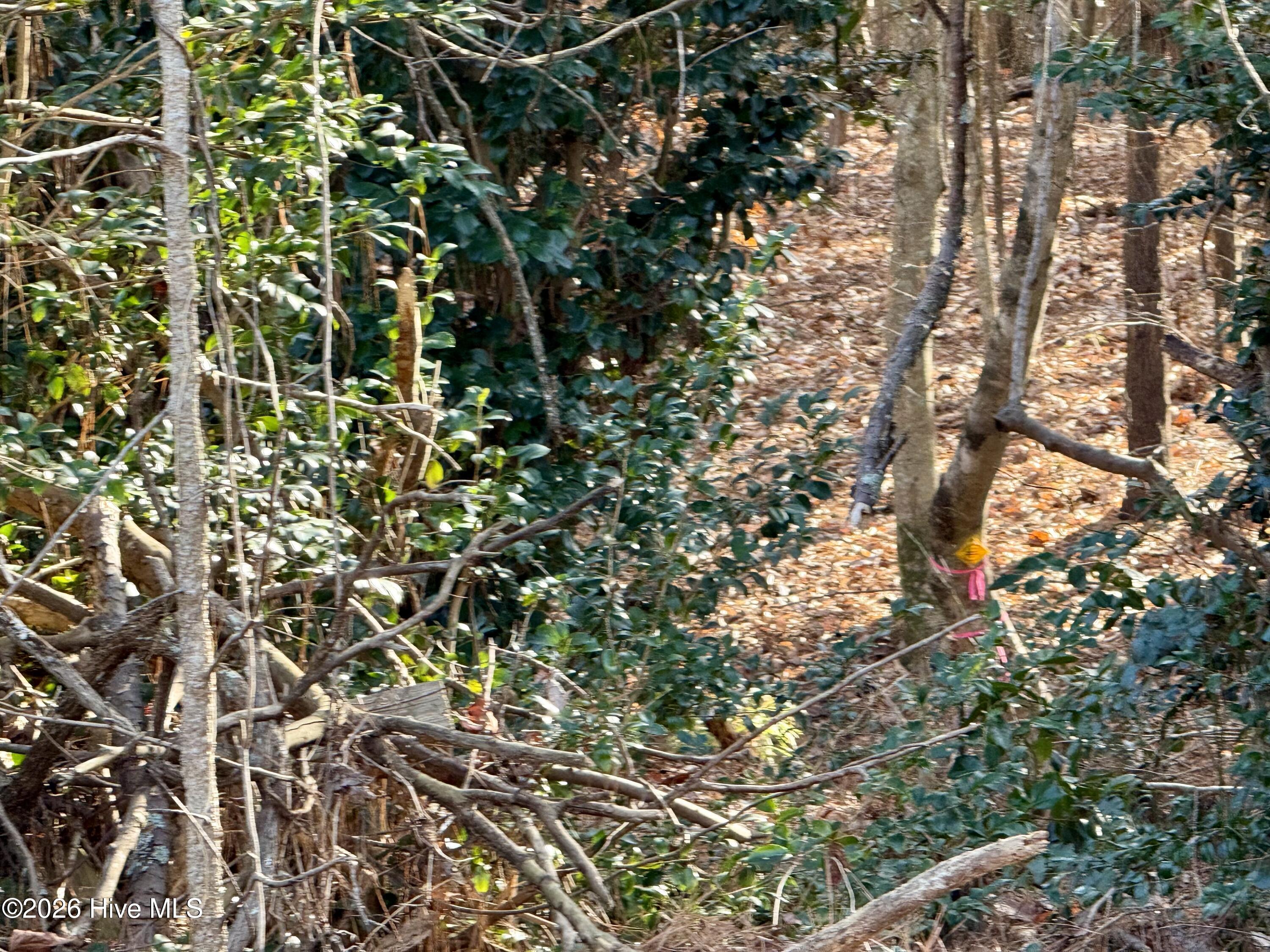 115 Layton Road Windsor, NC 27983 - Photo 29 of 29 IMG_6723