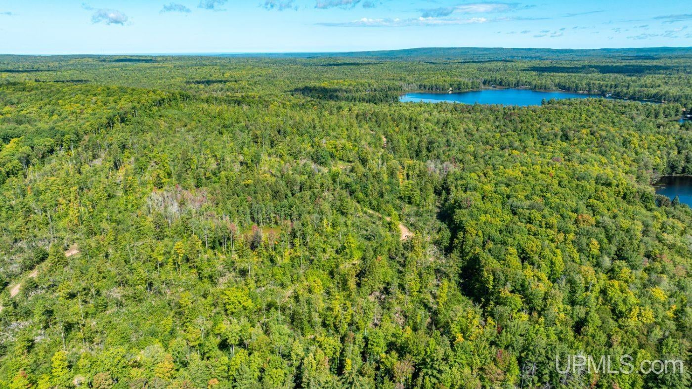 Horseshoe Lake Road Toivola, MI 49965 - Photo 22 of 70 Gallery Image 22