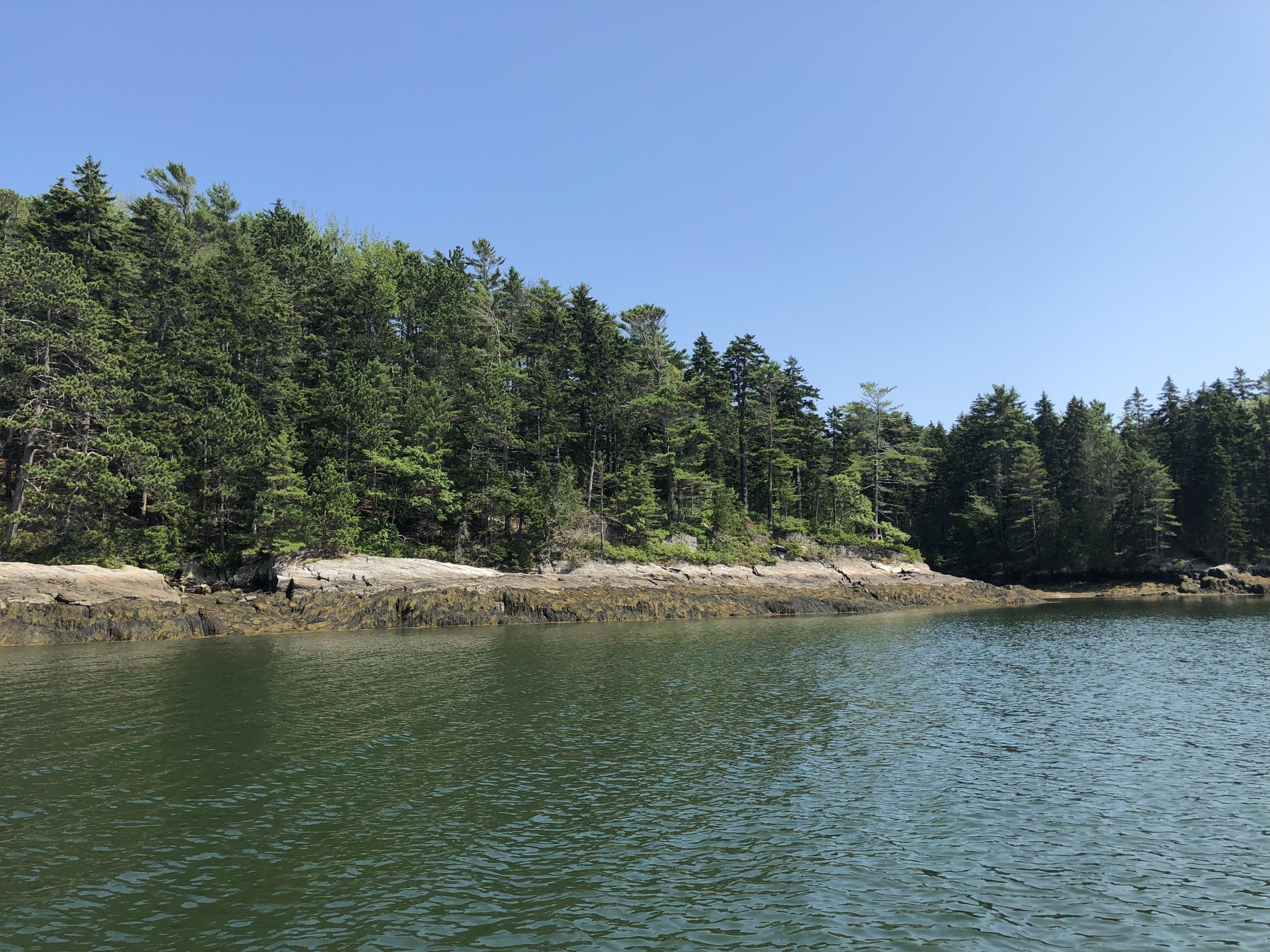 Lot 6 Gun Pt/tote Road Harpswell, ME 04079 - Photo 6 of 7 IMG_3021