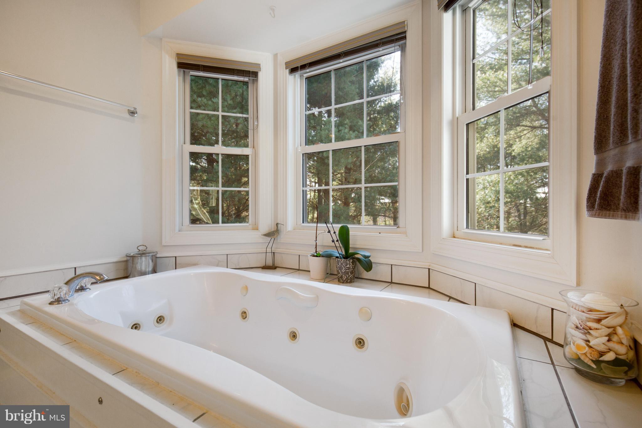 268 Swaggers Point Road Solomons, MD 20688 - Photo 16 of 27 Huge jetted tub