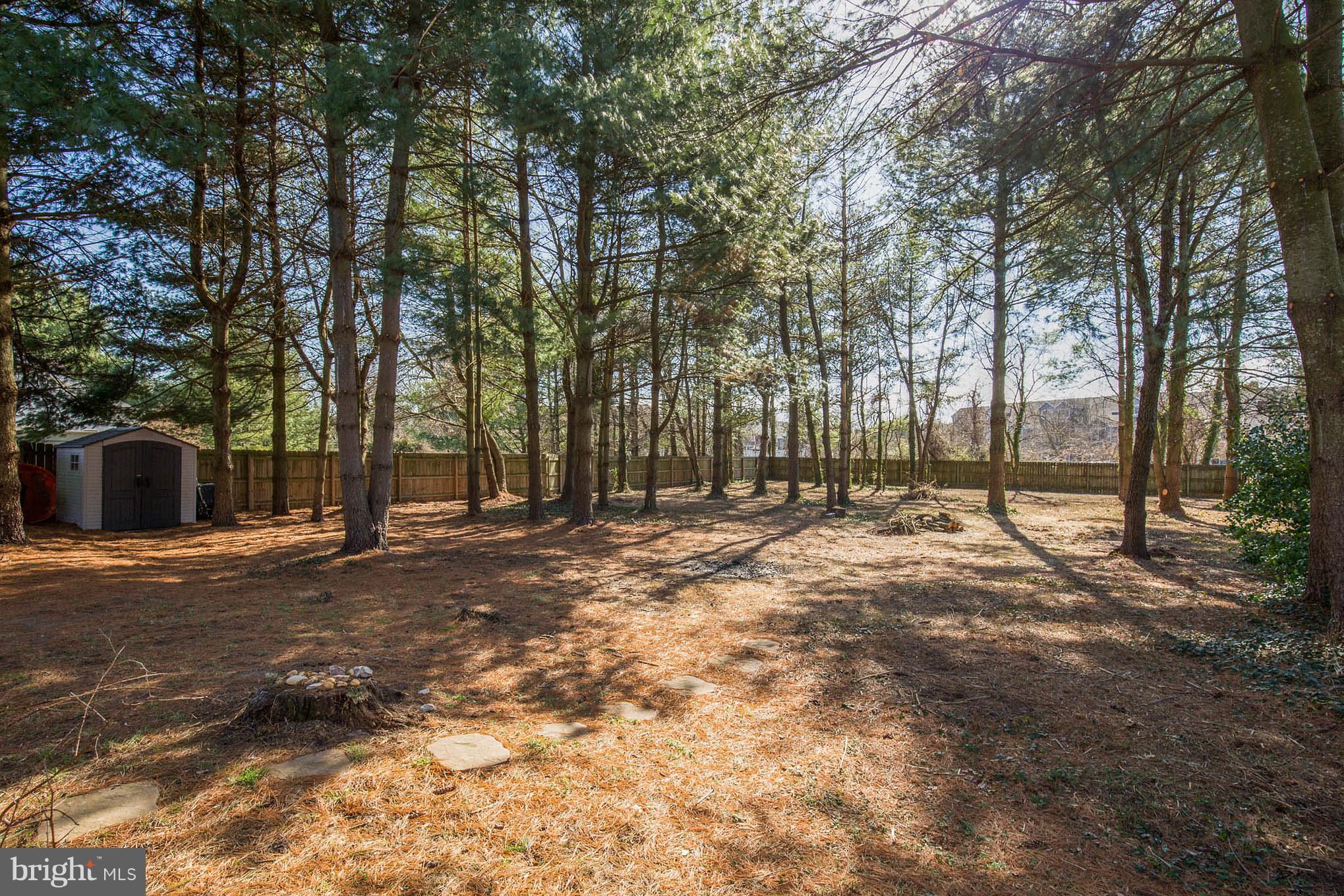 268 Swaggers Point Road Solomons, MD 20688 - Photo 25 of 27 HUGE fully fenced backyard with shed.