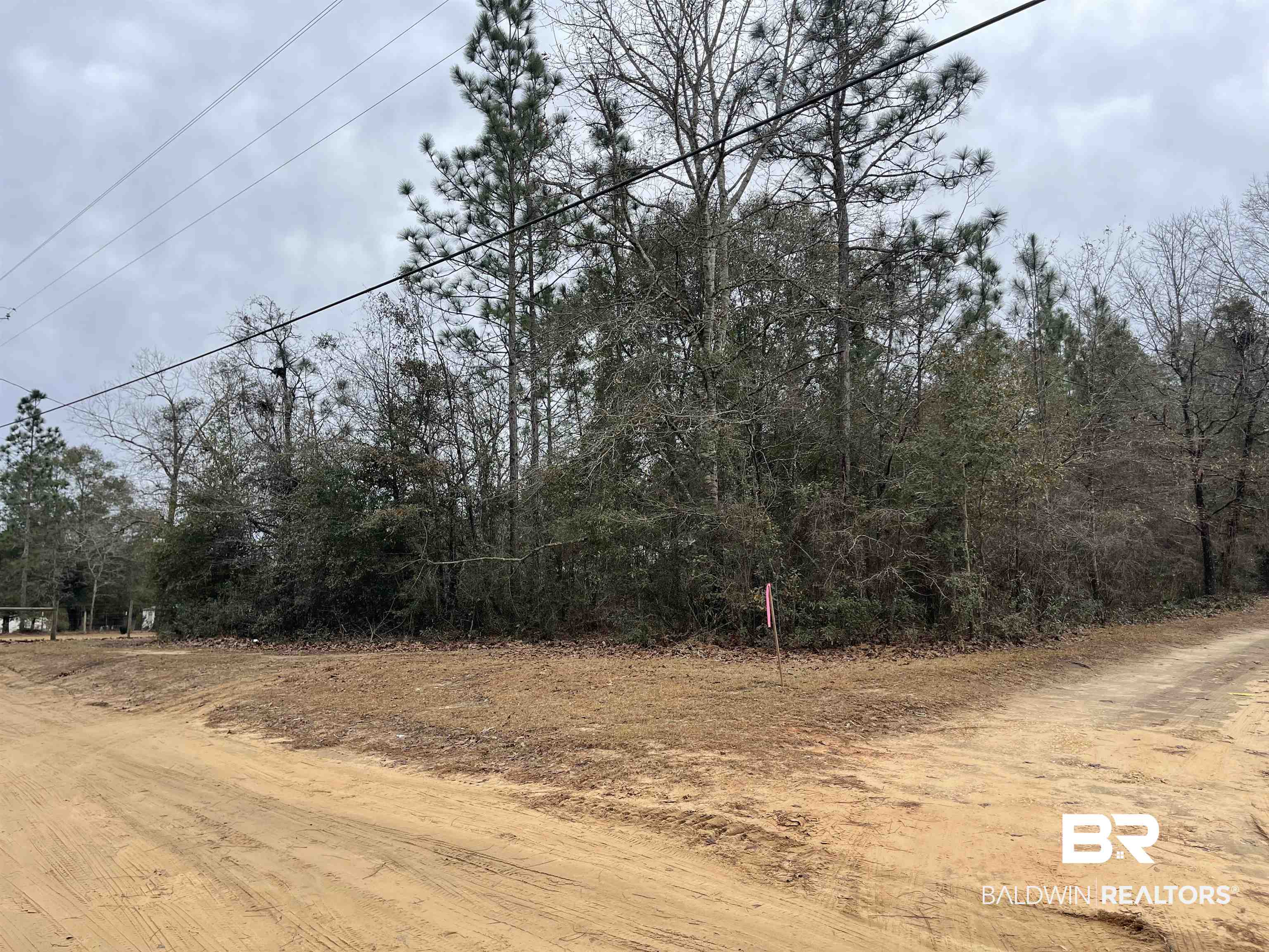 0 Glenwood Farm Road Wilmer, AL 36587 - Photo 2 of 6