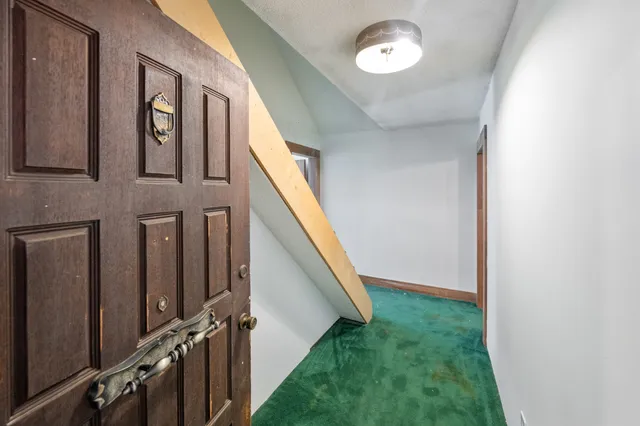 a view of a yard with plants and large trees