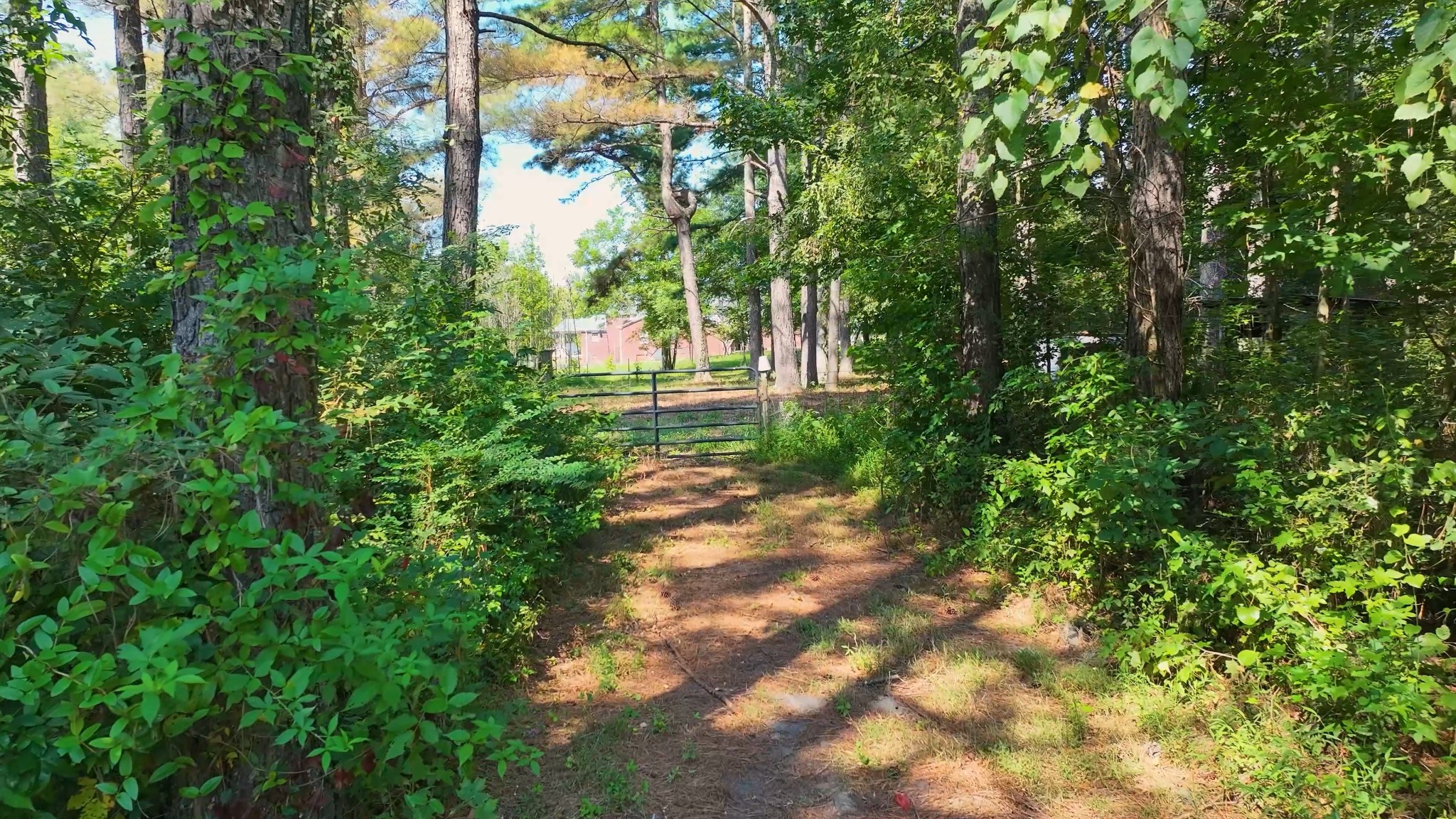 1035 Beacon Road Parsons, TN 38363 - Photo 60 of 70