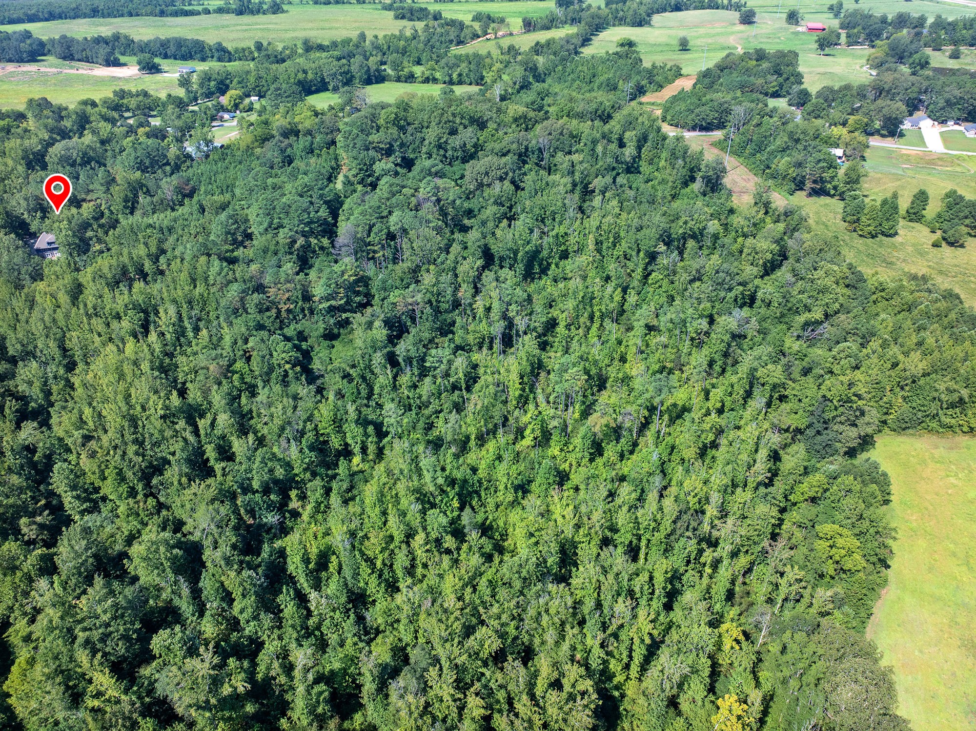 1035 Beacon Road Parsons, TN 38363 - Photo 64 of 70