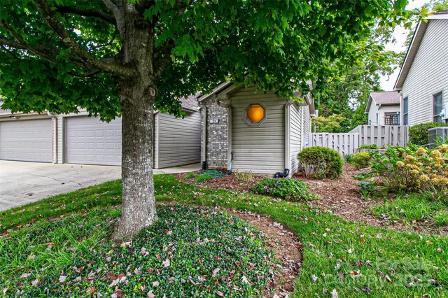 a backyard of a house with plants and tree