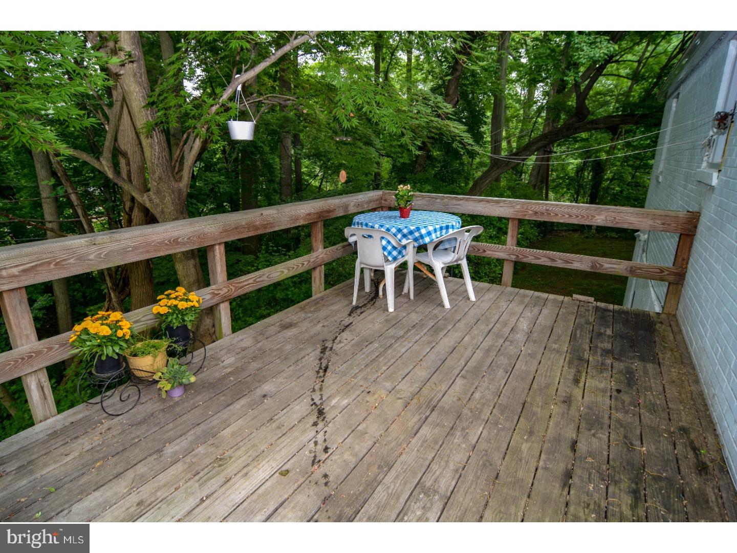374 Madison Road Springfield, PA 19064 - Photo 20 of 22
