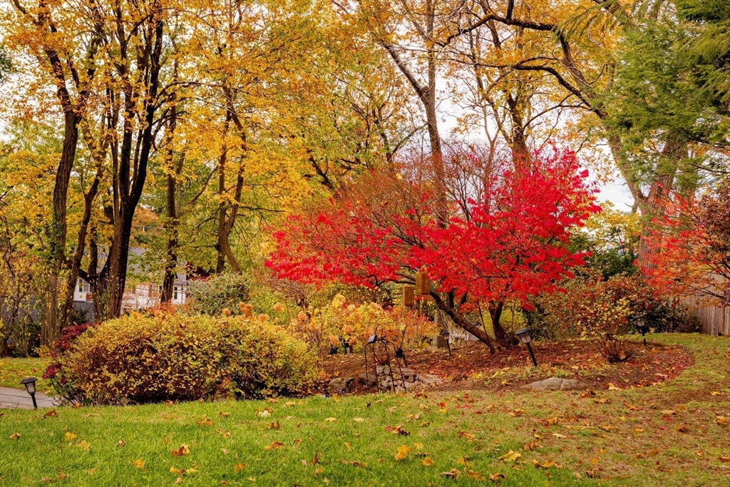 30 Prospect Street Winchester, MA 01890 - Photo 14 of 42 a street view