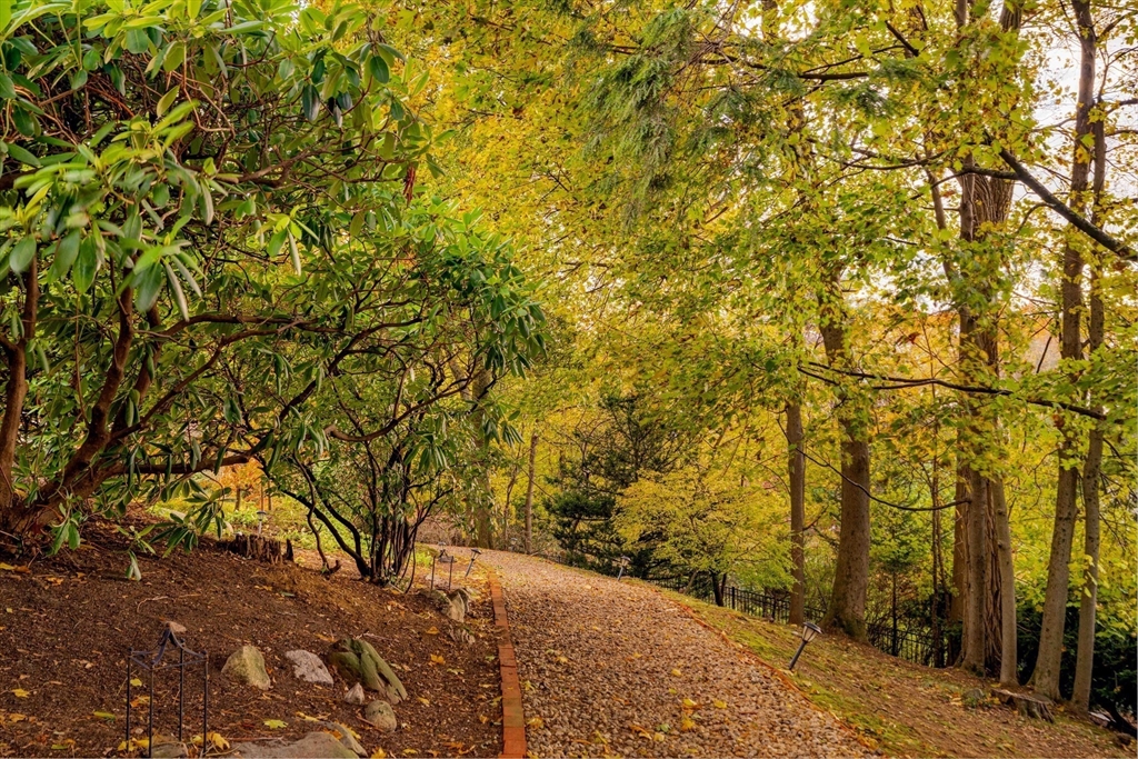 30 Prospect Street Winchester, MA 01890 - Photo 15 of 42 a view of a yard with plants and trees