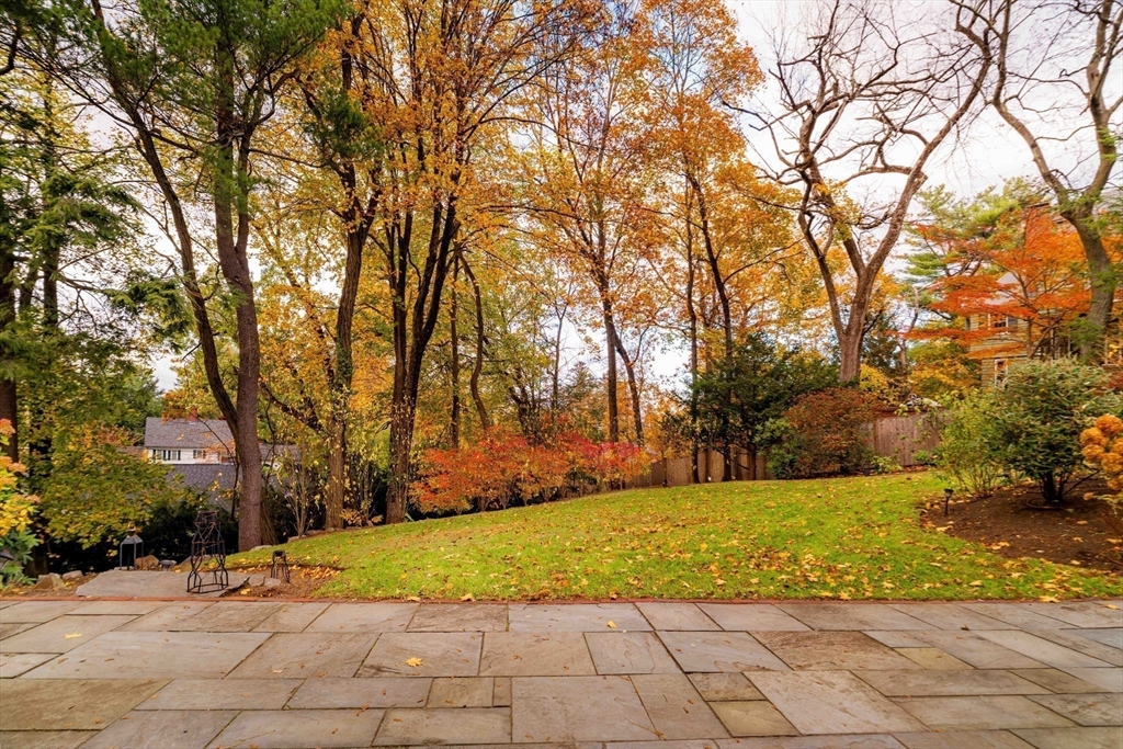30 Prospect Street Winchester, MA 01890 - Photo 8 of 42 a view of swimming pool with trees in the background