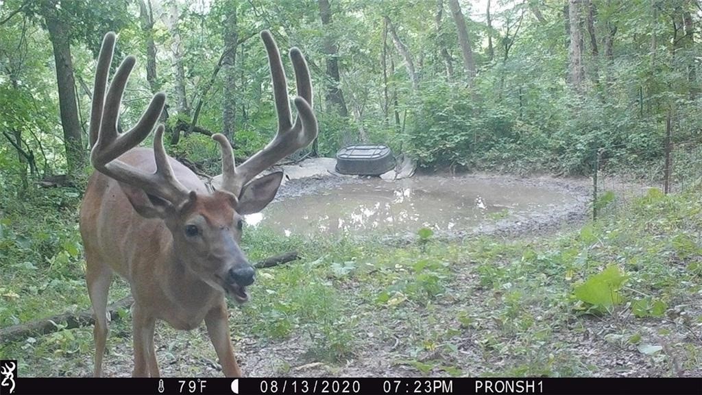 Xx Xx Simons Road Mondovi, WI 54755 - Photo 20 of 45