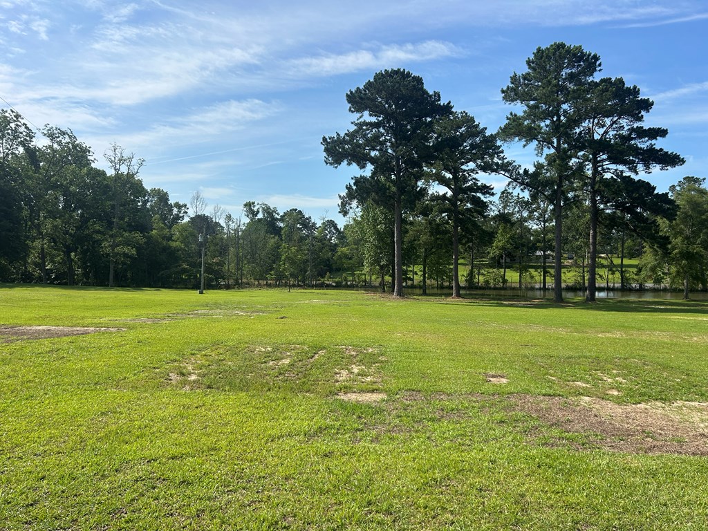 7697 Eddins Road Dothan, AL 36301 - Photo 9 of 65