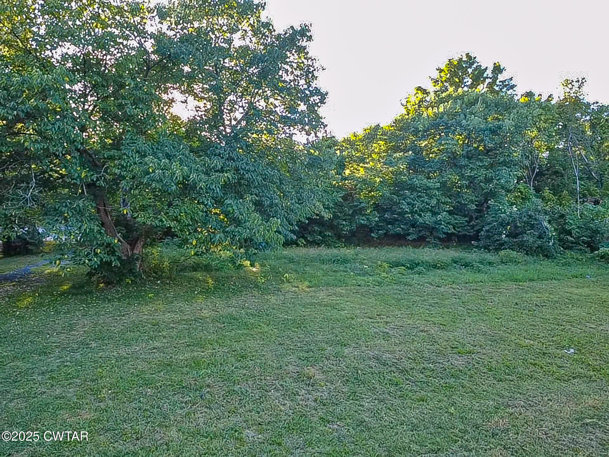 222 Elm Street Jackson, TN 38301 - Photo 3 of 3 a view of a grassy field with trees in the background