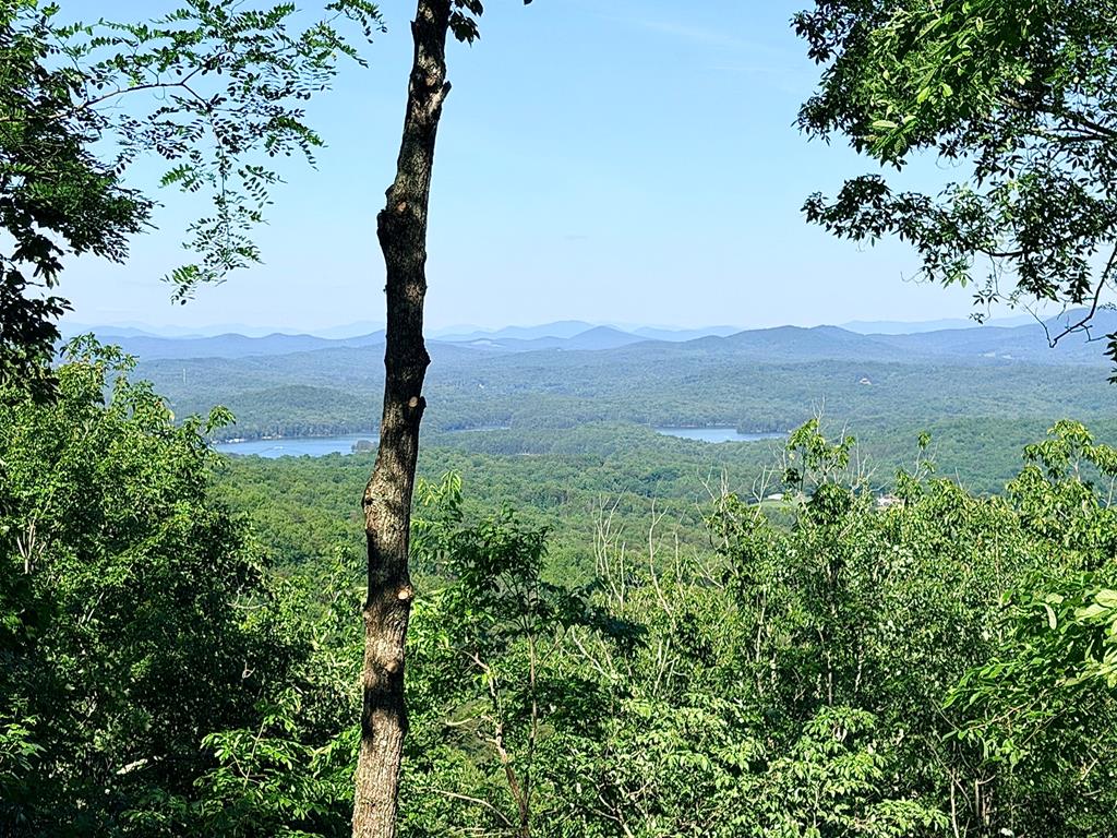 Lot2 Deer Crest Overlook Blue Ridge, GA 30513 - Photo 1 of 12 Main View