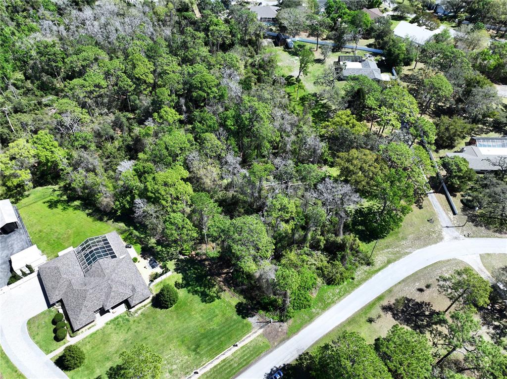Red Oak Loop New Port Richey, FL 34654 - Photo 2 of 6