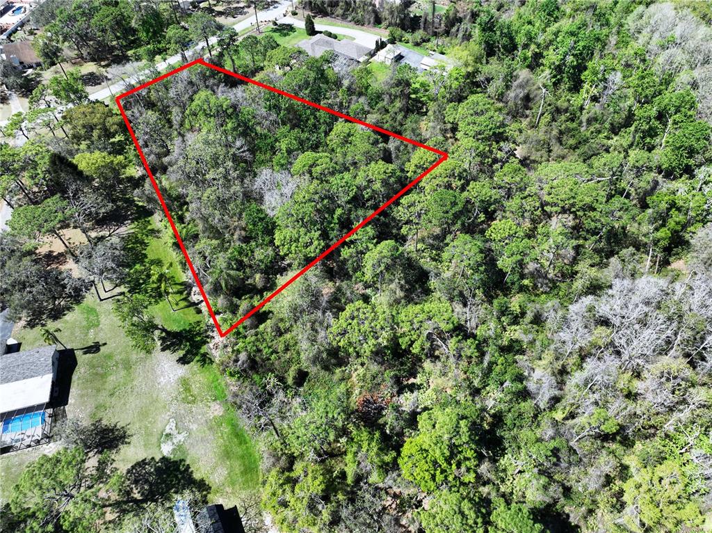 Red Oak Loop New Port Richey, FL 34654 - Photo 3 of 6