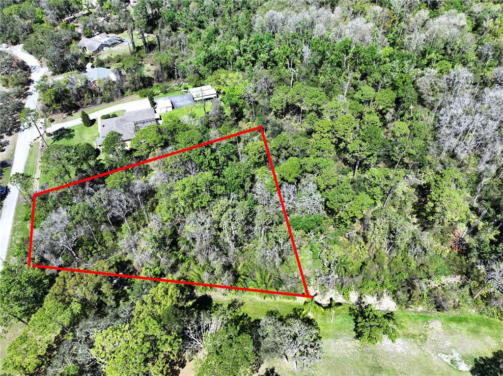Red Oak Loop New Port Richey, FL 34654 - Photo 4 of 6