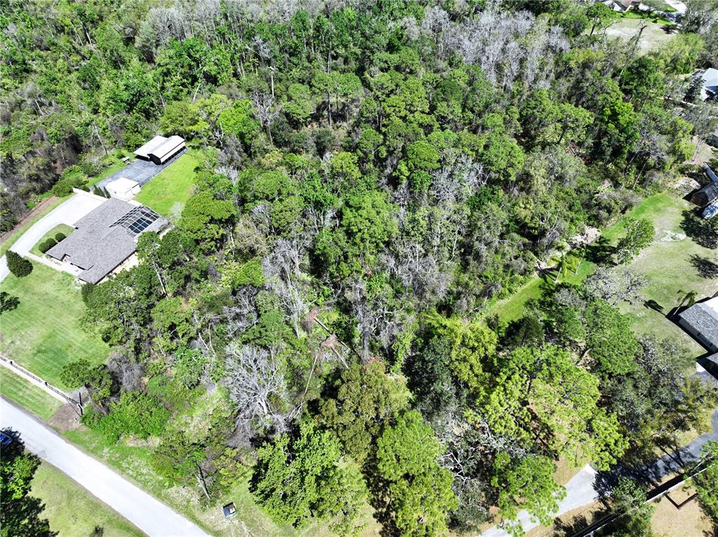 Red Oak Loop New Port Richey, FL 34654 - Photo 5 of 6