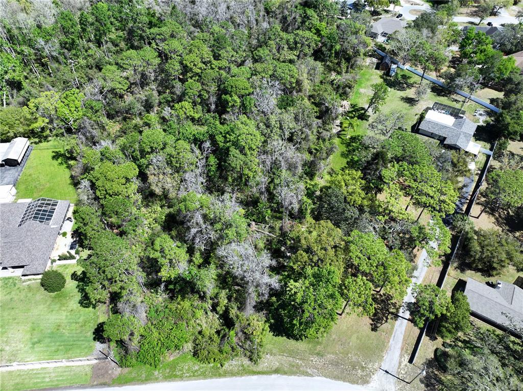 Red Oak Loop New Port Richey, FL 34654 - Photo 6 of 6
