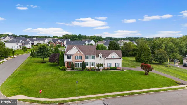 a view of a house with a big yard potted plants and large tree