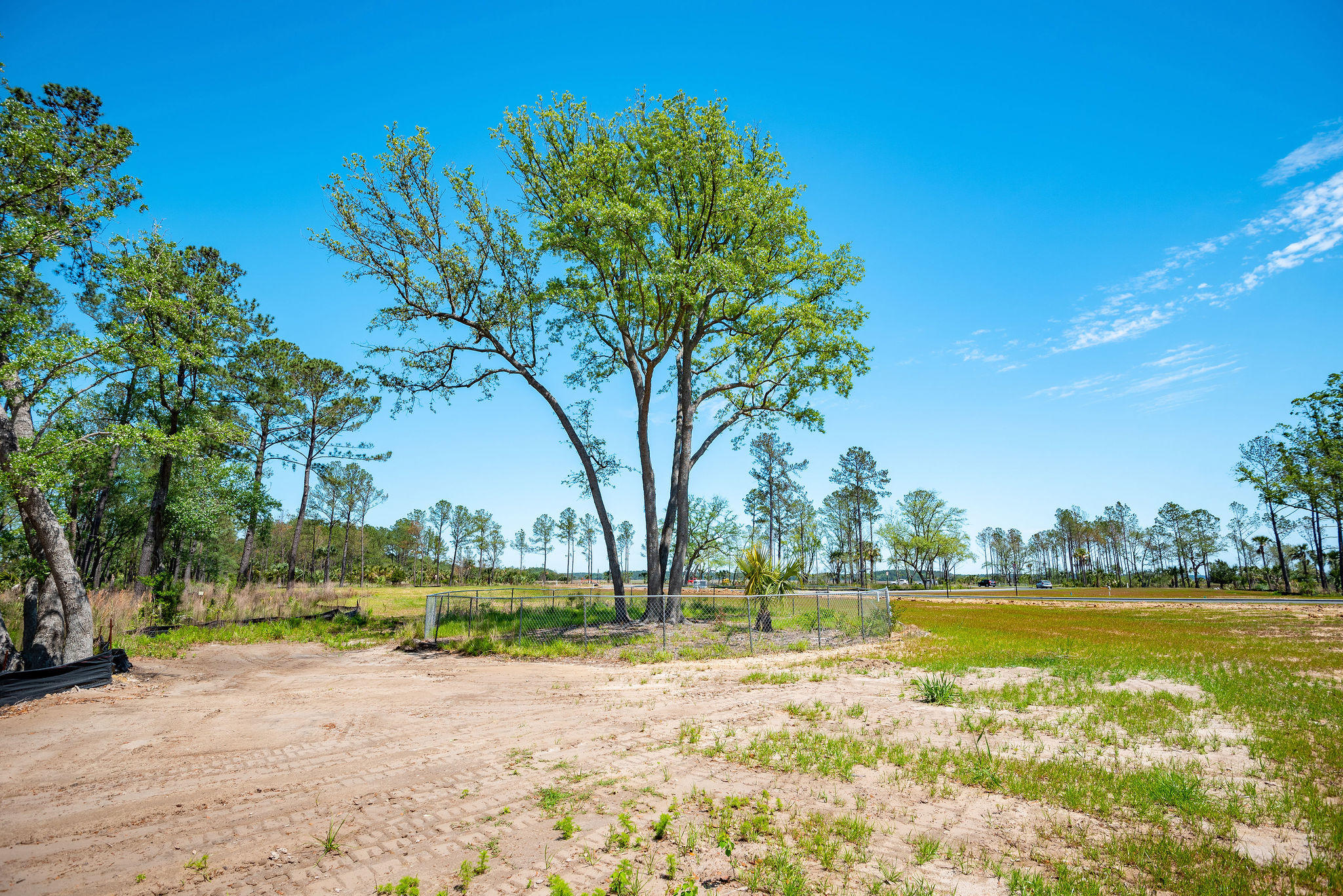 250 Captain Goddard Road Charleston, SC 29492 - Photo 2 of 7 250CaptainGoddardRoad-KeenEyeMarketing-3