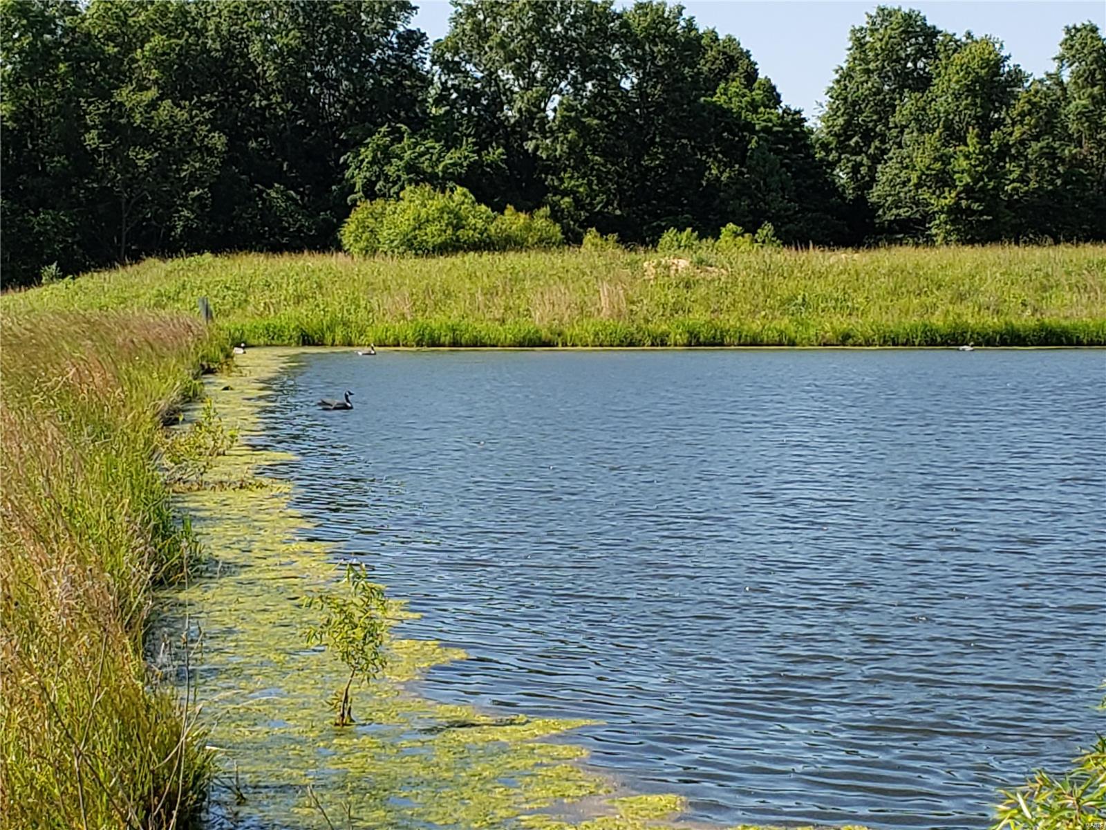 0 Spillway Road Carbondale, IL 62902 - Photo 2 of 9 Gallery Image 2