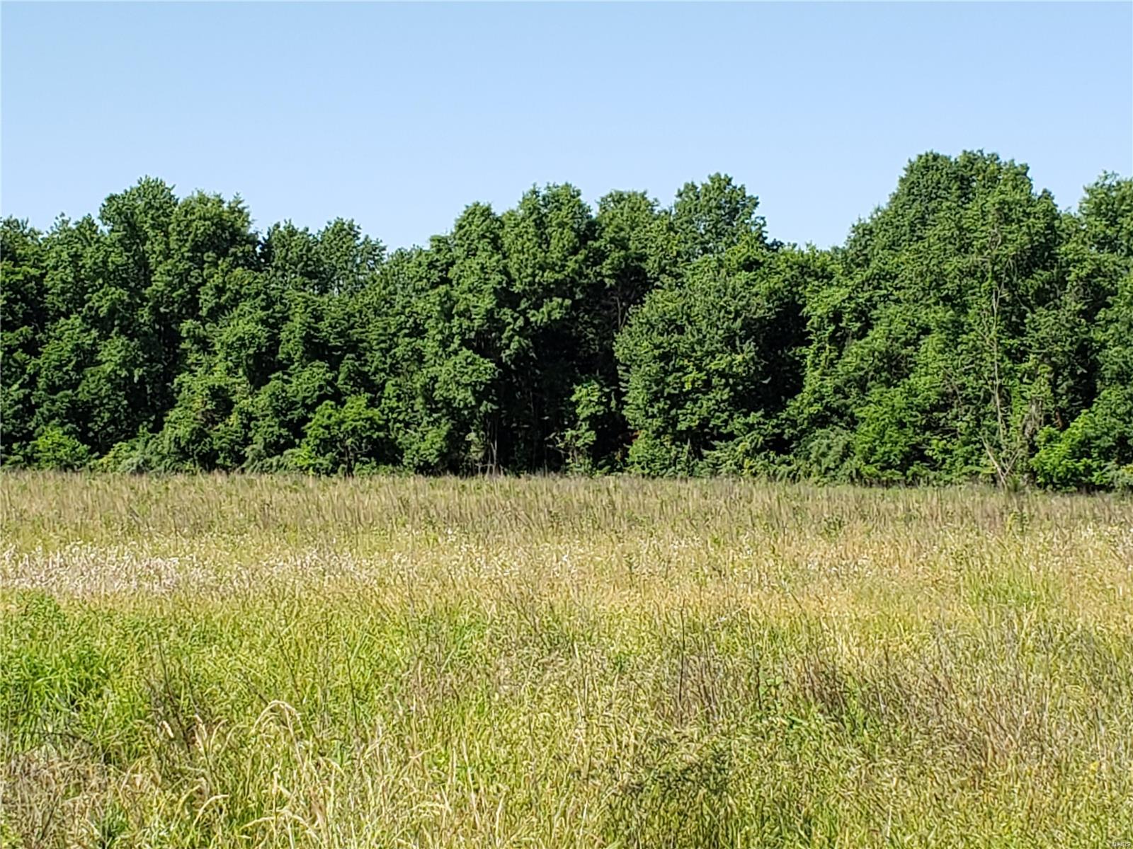 0 Spillway Road Carbondale, IL 62902 - Photo 4 of 9 Gallery Image 4