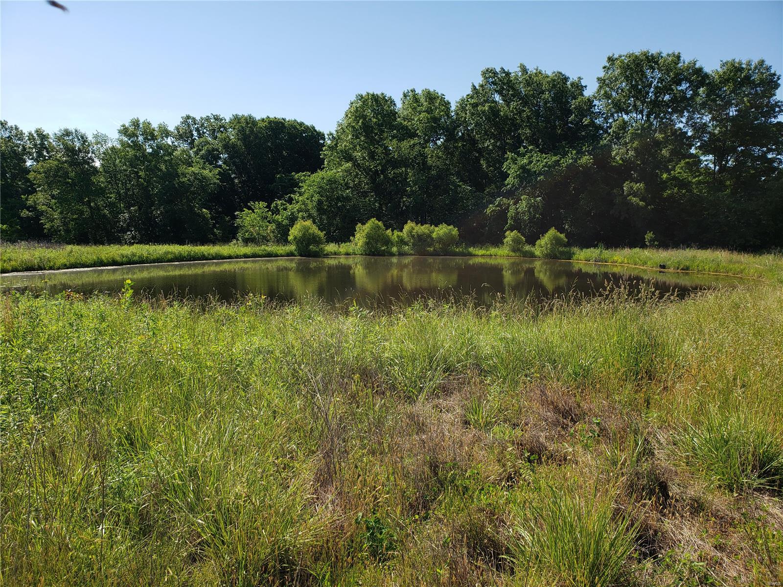0 Spillway Road Carbondale, IL 62902 - Photo 5 of 9 Gallery Image 5