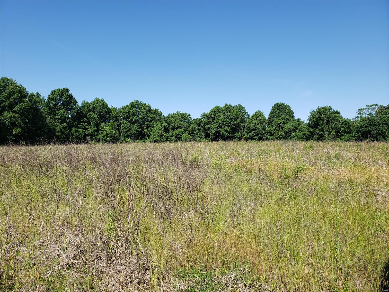 0 Spillway Road Carbondale, IL 62902 - Photo 6 of 9 Gallery Image 6