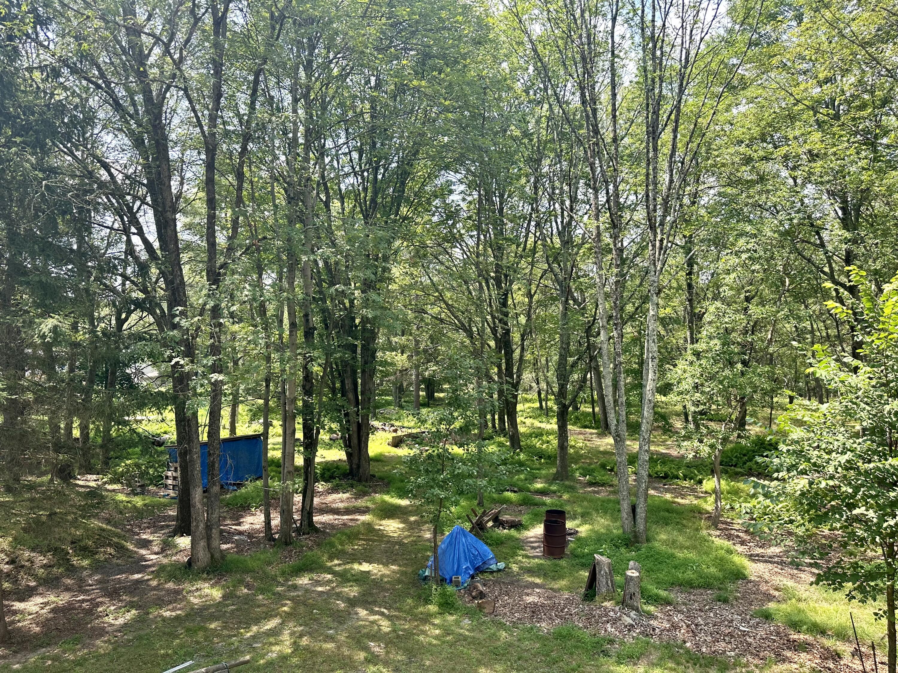 1238 Steele Circle Bushkill, PA 18324 - Photo 29 of 30 IMG_1534