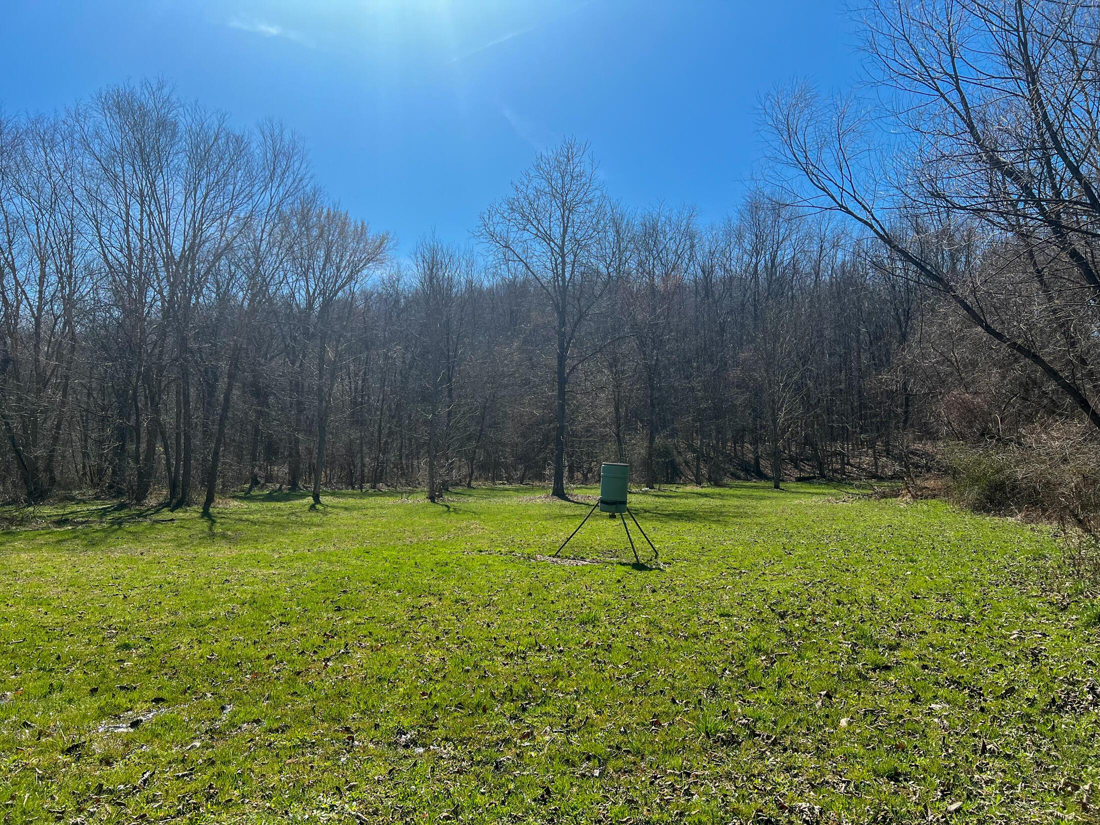 0 Locust Grove Road McArthur, OH 45651 - Photo 7 of 12 IMG_7070