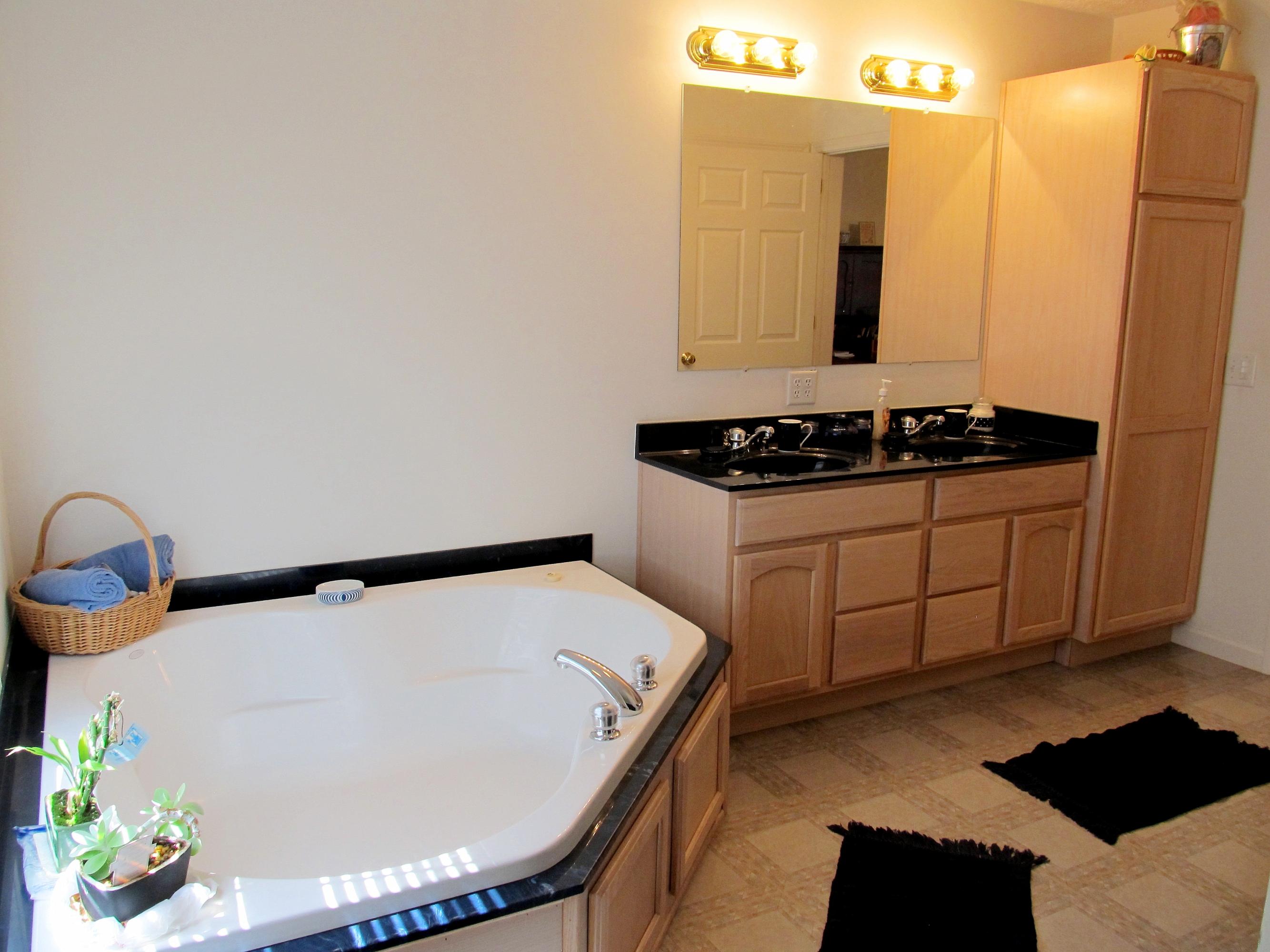 578 Russell Brothers Road Sharps Chapel, TN 37866 - Photo 19 of 39 master bath