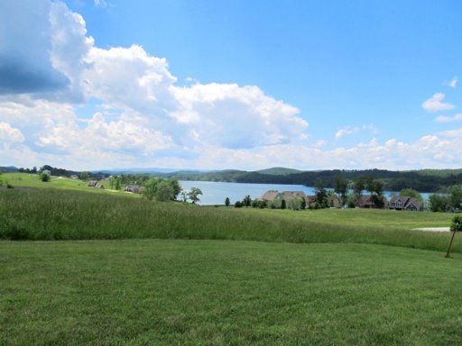 578 Russell Brothers Road Sharps Chapel, TN 37866 - Photo 27 of 39 lake access via community marina