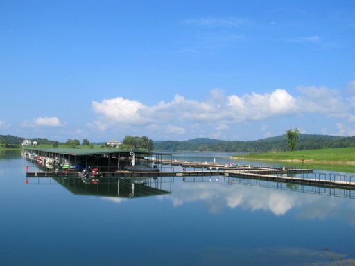 578 Russell Brothers Road Sharps Chapel, TN 37866 - Photo 39 of 39 community marina