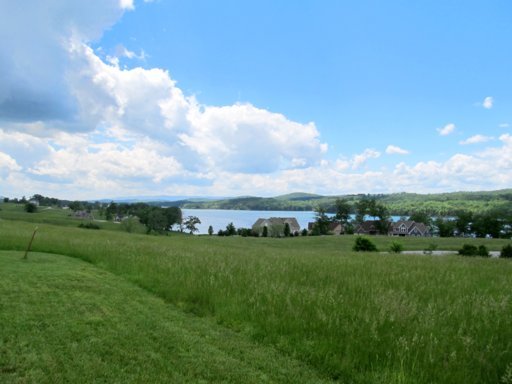 578 Russell Brothers Road Sharps Chapel, TN 37866 - Photo 5 of 39 lake views from the yard
